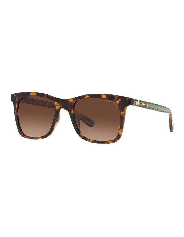 Coach 0HC8374U Tortoise Polarised Sunglasses in Brown One Size
