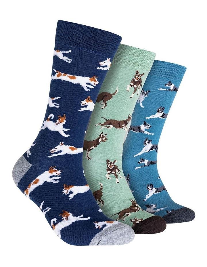 Mitch Dowd Dog Treat Socks Gift Box 3 Pack in Multi Assorted One Size