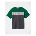 Bauhaus Splice T-Shirt in Navy Stripe Green 10