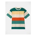 Bauhaus Stripe T-shirt in Multi Rainbow 14