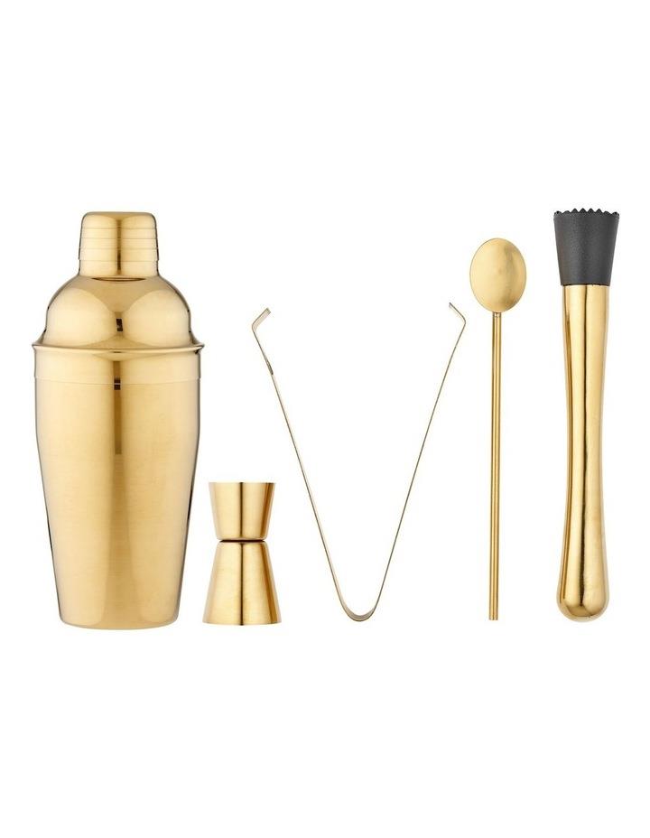Tempa Aurora Cocktail Set 5 Pack in Gold