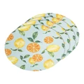 Ladelle Summer Citrus Placemat 4 Pack in Multi Assorted