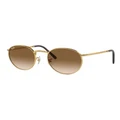 Ray-Ban New Round Sunglasses in Gold 1