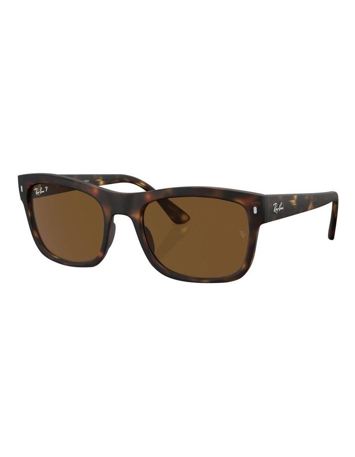 Ray-Ban Polarized RB4428 Sunglasses in Tortoise 1