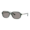 Swarovski SK6003 Sunglasses in Green 1