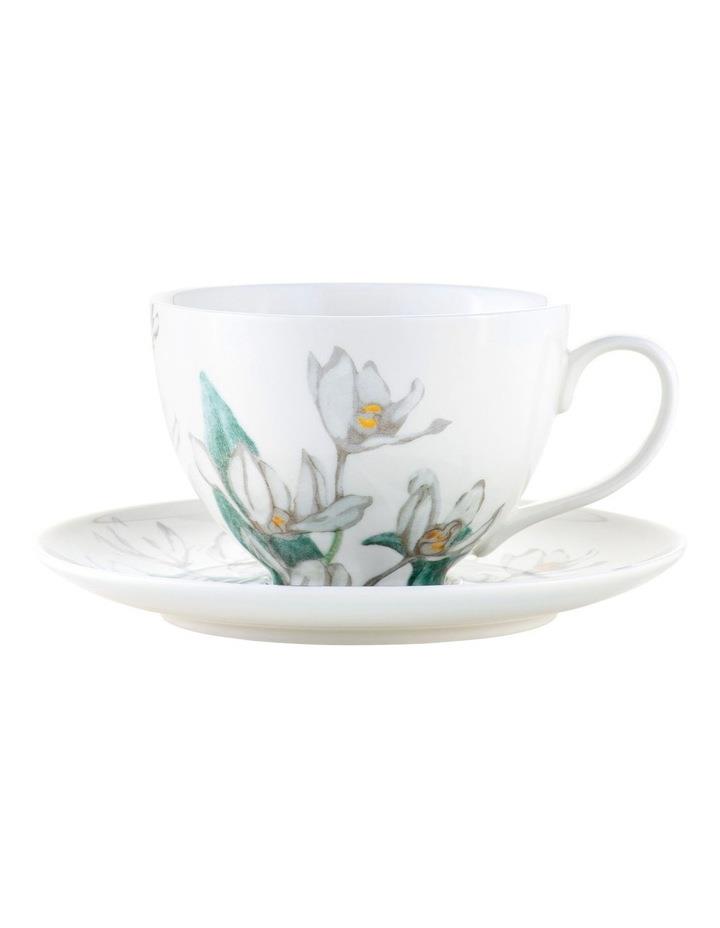 Maxwell & Williams Royal Botanic Gardens Australian Orchids Cup & Saucer 240ml in White