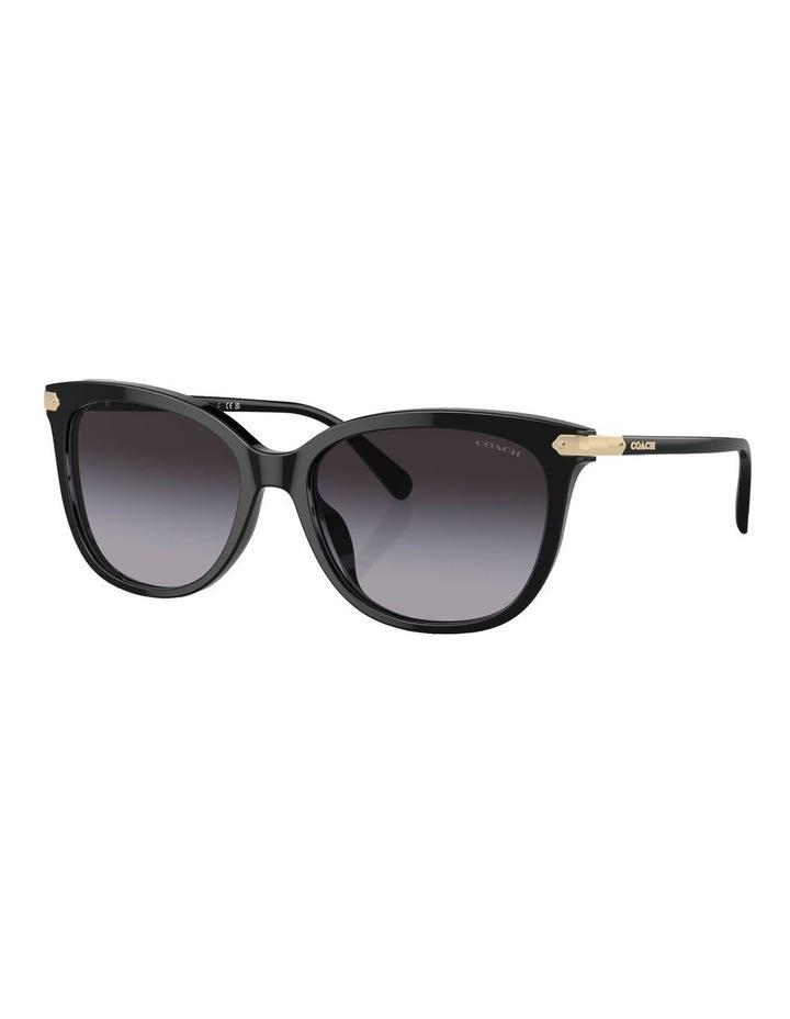 Coach CL926 Sunglasses in Black 1