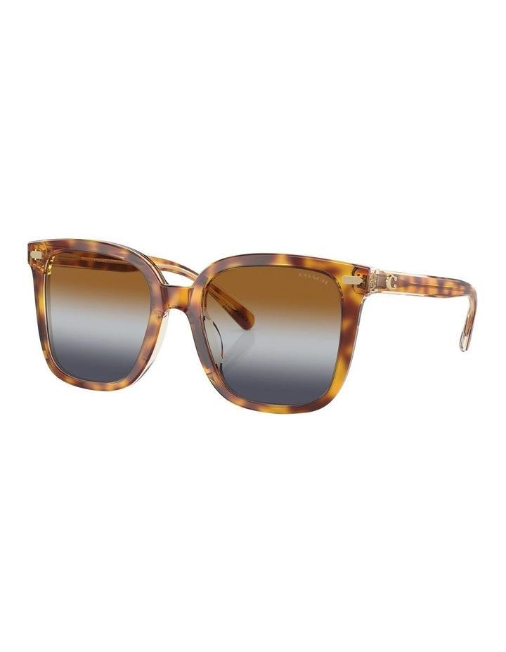 Coach CL918 Sunglasses in Brown 1