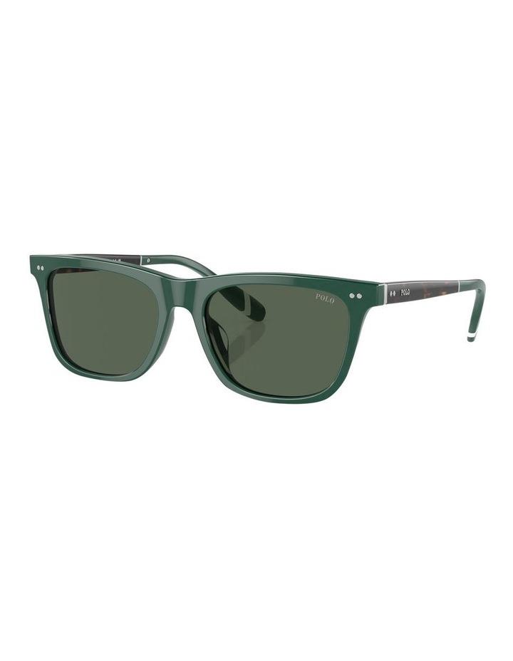 Polo Ralph Lauren PH4205U Sunglasses in Green 1