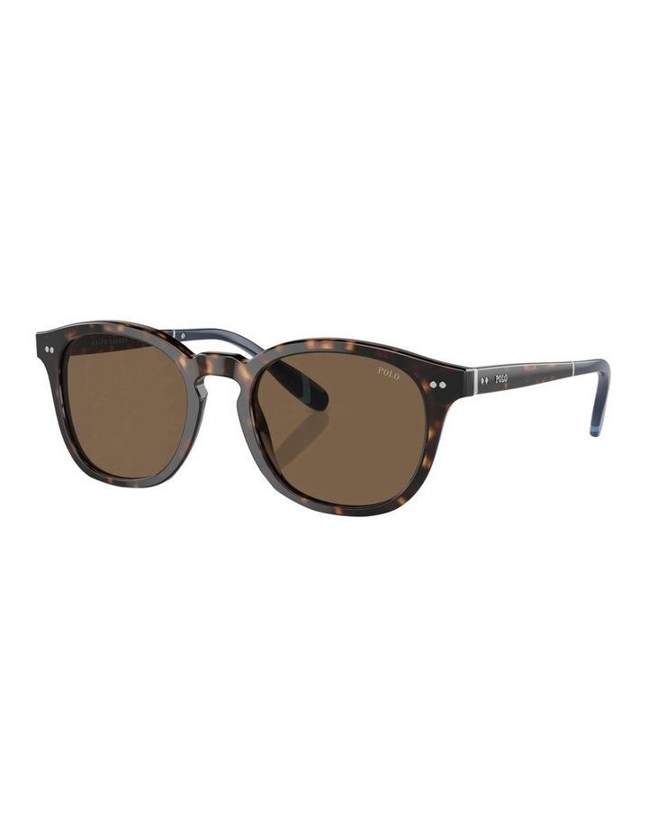 Polo Ralph Lauren PH4206 Sunglasses in Brown 1
