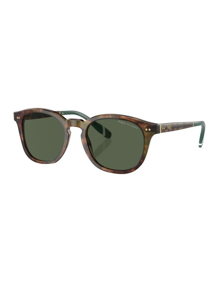 Polo Ralph Lauren Polarised PH4206 Sunglasses in Tortoise 1