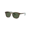 Polo Ralph Lauren Polarised PH4206 Sunglasses in Tortoise 1