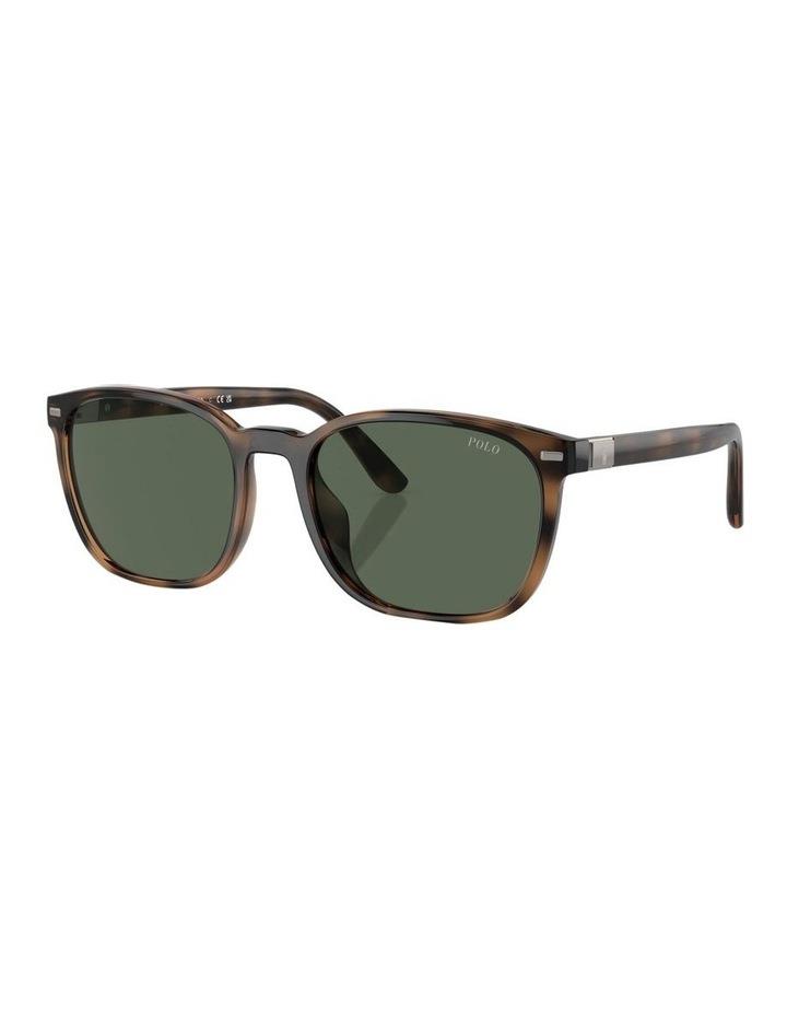 Polo Ralph Lauren PH4208U Sunglasses in Tortoise 1