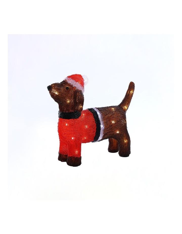 Lexi Lighting Acrylic Dachshund Dog H36cm Assorted