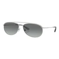 Swarovski SK7005 Sunglasses in Silver 1