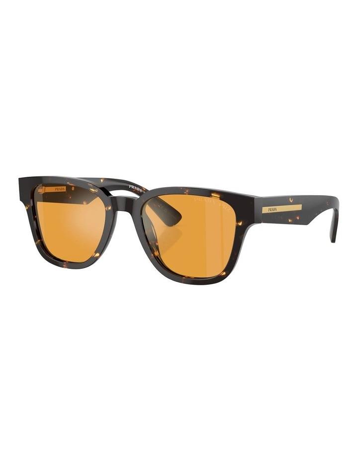 Prada PR A04S Polarized Sunglasses in Brown 1