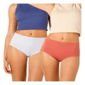 Ambra Seamless Smoothies Full Brief 2 Pair Pack in Desert Sand/ Cool Bl Rose 10-12