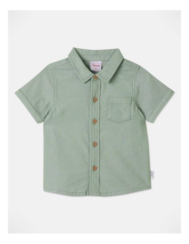 Sprout Textured Shirt in Sage 000