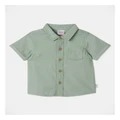 Sprout Textured Shirt in Sage 2