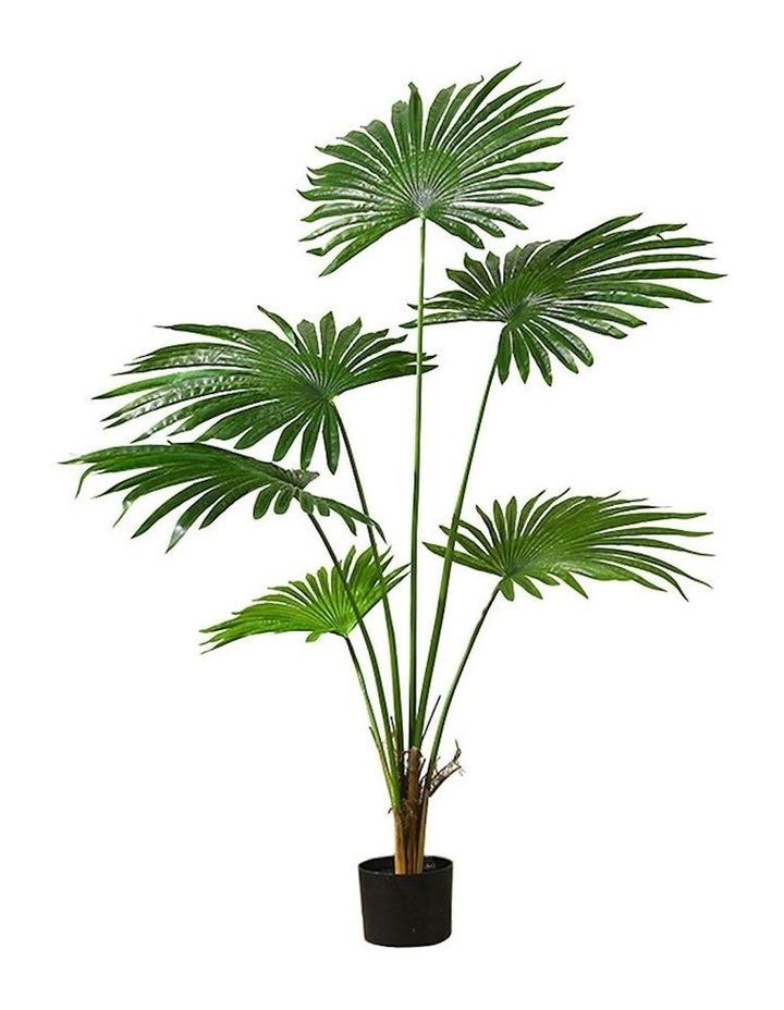 SOGA Artificial Fan Palm Tree 120cm in Assorted