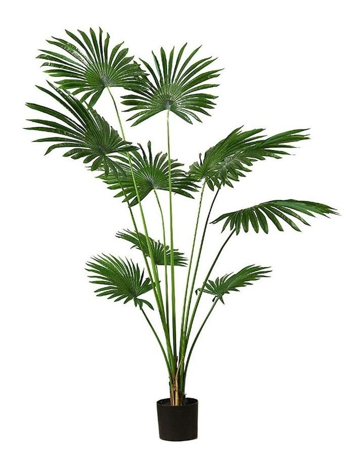 SOGA Artificial Fan Palm Tree 180cm in Assorted