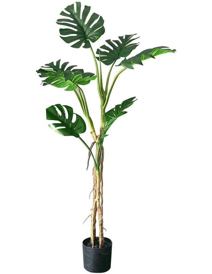 SOGA Potted Turtle Back Fern Artificial Plant 160cm in Multi Assorted