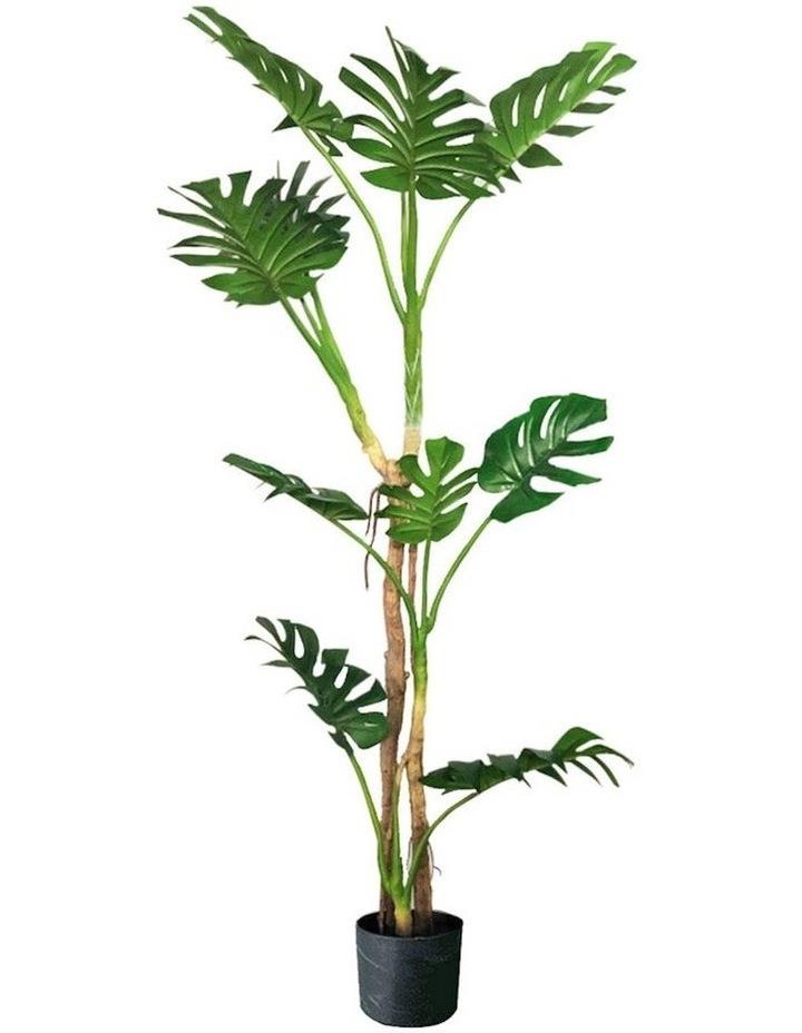 SOGA Potted Turtle Back Fern Artificial Plant 175cm in Multi Assorted