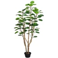 SOGA Potted Pocket Money Artificial Plant 150cm in Assorted