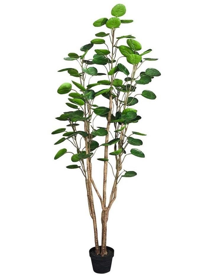 SOGA Potted Pocket Money Artificial Plant 180cm in Assorted