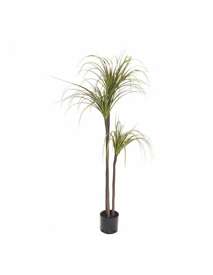 SOGA Potted Dragon Blood Artificial Plant 145cm in Assorted