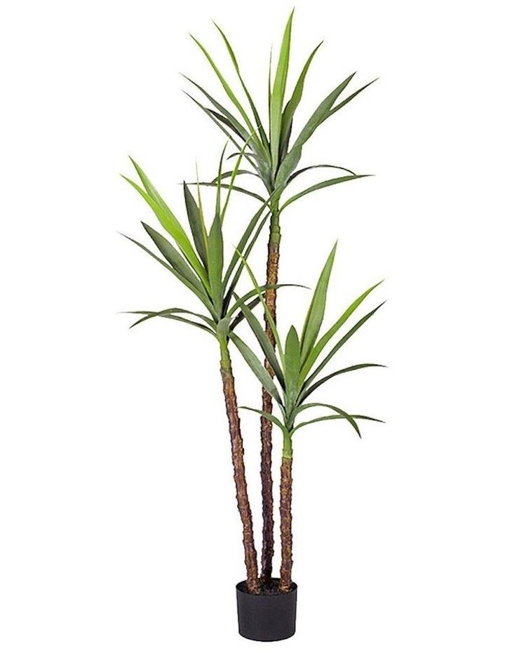 SOGA Artificial Dracaena Yucca Tree 150cm in Assorted