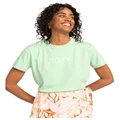 Roxy Ocean Road Loose T-shirt in Quiet Green L
