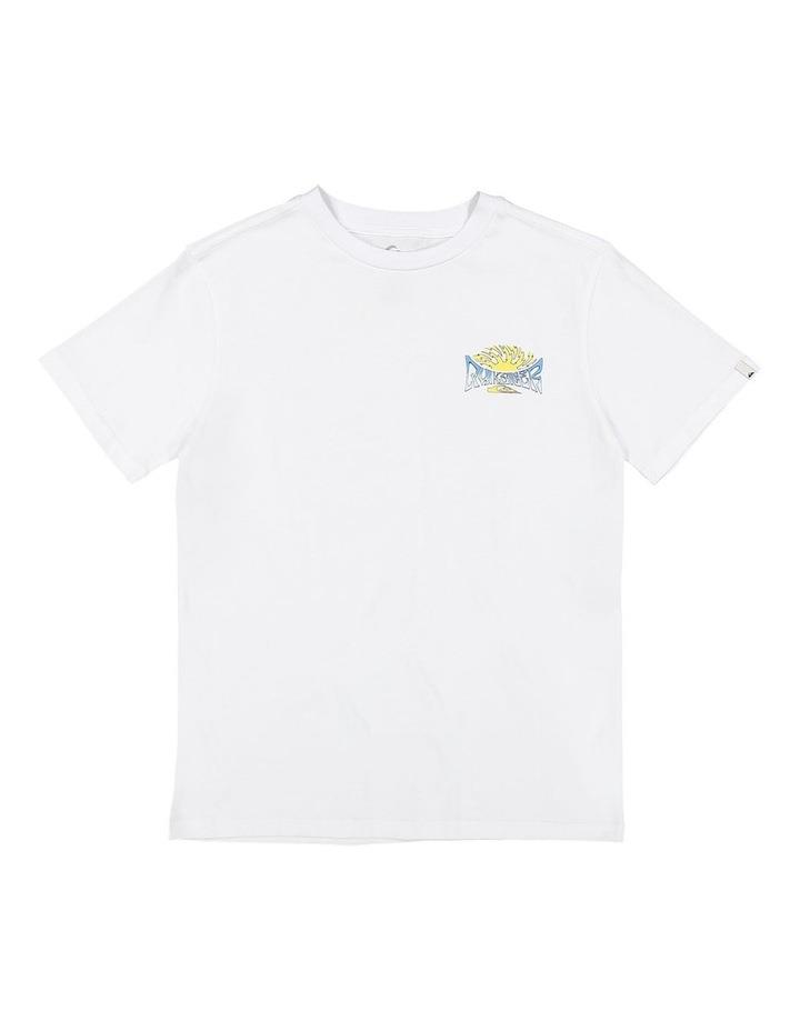 Quiksilver Spin Cycle Oversized T-shirt in White 10