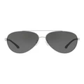 Armani Exchange EA2046D Silver Sunglasses Silver