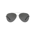 Armani Exchange EA2046D Silver Sunglasses Silver