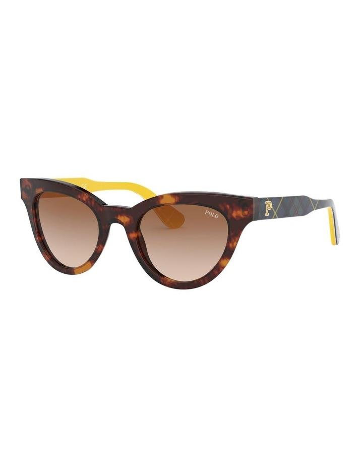 Polo Ralph Lauren PH4157 Tortoise Sunglasses Brown