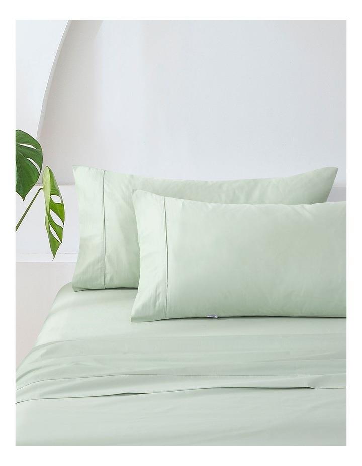 Essn 500TC Cotton Sateen Standard Pillowcase (Twin Pack) in Sage Standard-P-Case