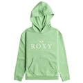 Roxy Surf Feeling Fleece Hoodies in Zephyr Green 14