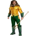 DC Comics Aquaman Deluxe Dress Up Costume in Two Tone One Size
