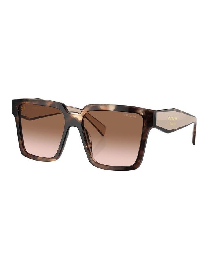 Prada PR 24ZSF Tortoise Sunglasses in Brown One Size