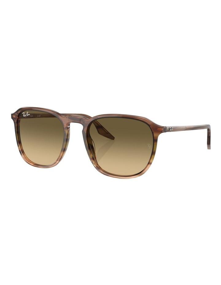 Ray-Ban RB2203 Sunglasses in Brown 1