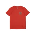 Billabong Tall Tale T-Shirt in Washed Red 10