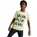 Calvin Klein Jeans Pixel Logo Relaxed Short Sleeve T-shirt in Exotic Mint Green 12