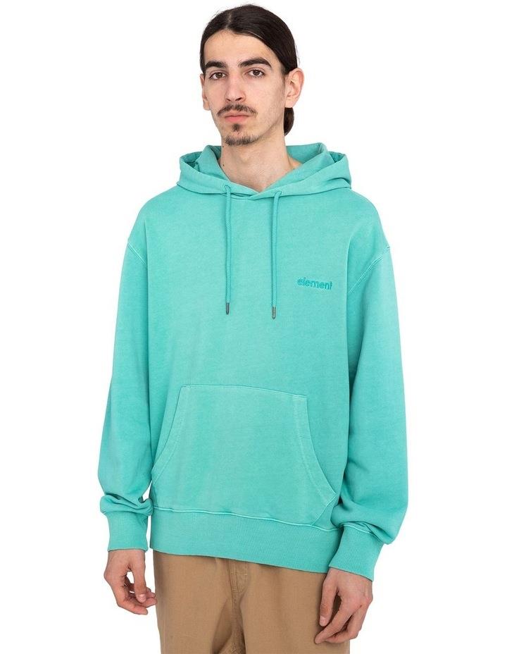 Element Cornell 3.0 Hoodie in Green S