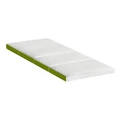 Giselle Bedding Foldable Single Foam Mattress in Green