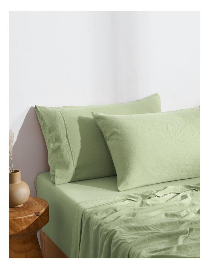 Dreamaker Superfine Washed Microfibre Standard Pillowcase Twin Pack in Sage Green Sage