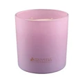 Maxwell & Williams Camilla Fig and Bergamot Scented Candle 370gm Gift Boxed in Lilac Lt Purple