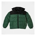 Bauhaus Recycled Puffer Jacket With Hood in Green 14