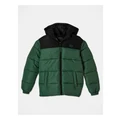Bauhaus Recycled Puffer Jacket With Hood in Green 14