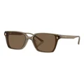 Jimmy Choo Sunglasses in Brown 1